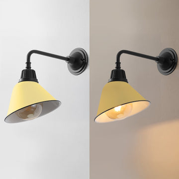Croydon 9.63"  Farmhouse Industrial Indoor/Outdoor Iron LED Gooseneck Arm Outdoor Sconce